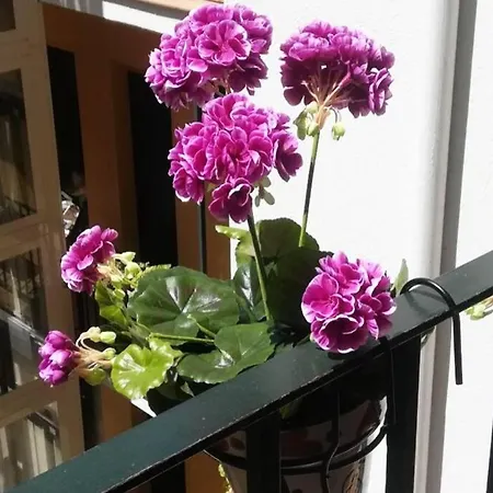 El Patio De San Bernardo Apartamento