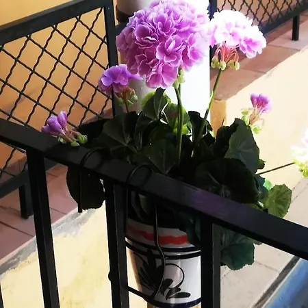 El Patio De San Bernardo Seville