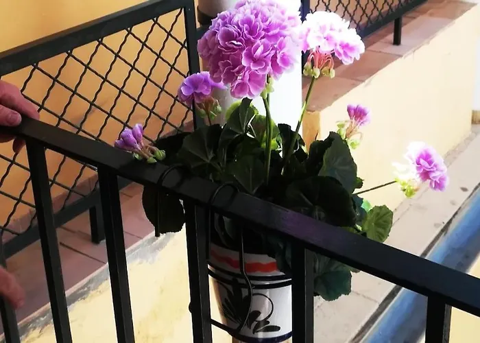 El Patio De San Bernardo Siviglia